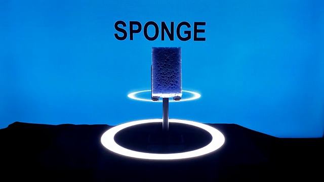 Introducing Sponge | Губка презентация смотреть онлайн