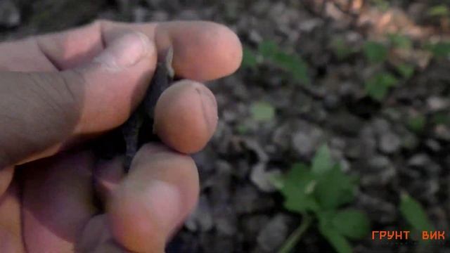 Anfibio Multi - Старинные находки. Часть 3. смотреть онлайн