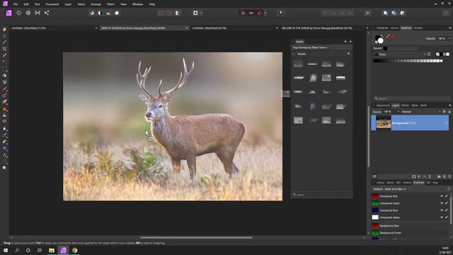 Affinity Photo - Add Fog Mist or Smoke смотреть онлайн