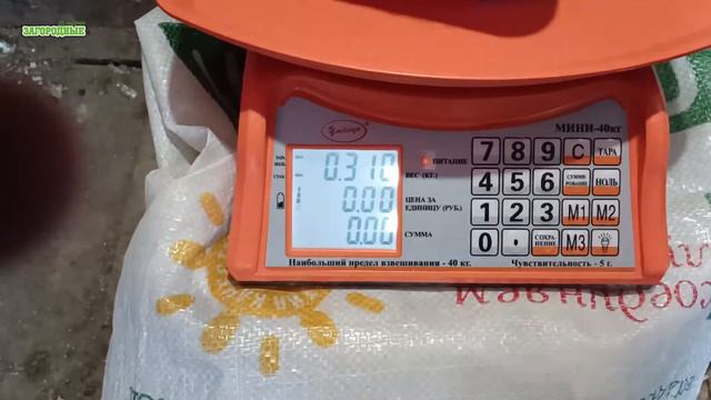 Сколько весит КООБ 500 Иваново в 10 суток смотреть онлайн