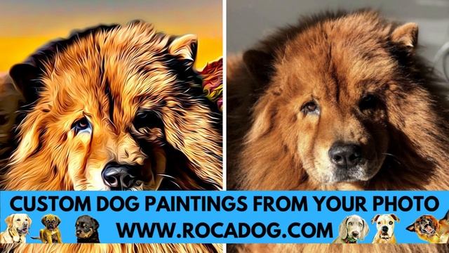Chow Chow - TOP 10 Interesting Facts смотреть онлайн