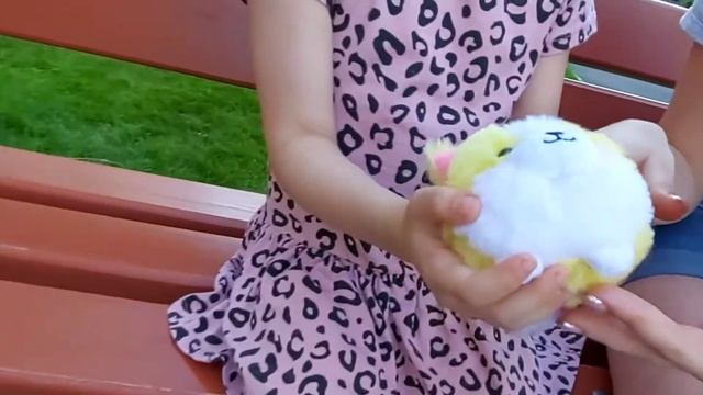 НОВЫЙ ПУШИСТЫЙ СЮРПРИЗ ИГРУШКУ КУПИЛИ в ВАЛДБЕРИС смотреть онлайн