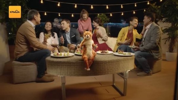 Найдите квартиру мечты на  Krisha.kz!