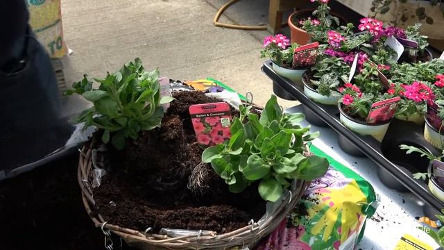 How to make a summer hanging basket | CountryLife Tips смотреть онлайн