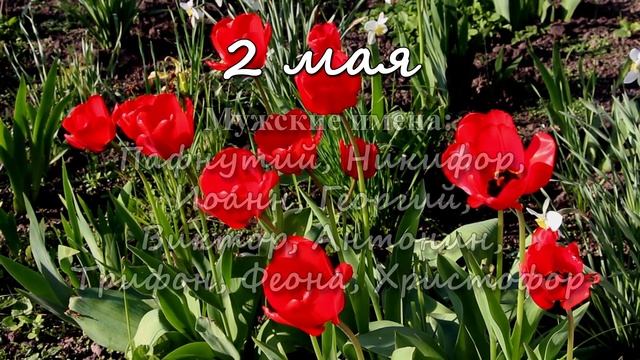 2 мая – именины сегодня отмечают смотреть онлайн