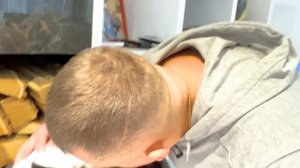 ШЕРЛОК против КОТА. БРОС ШОУ ПЕТ