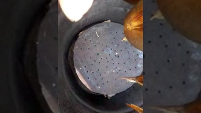 Холодное копчение смотреть онлайн