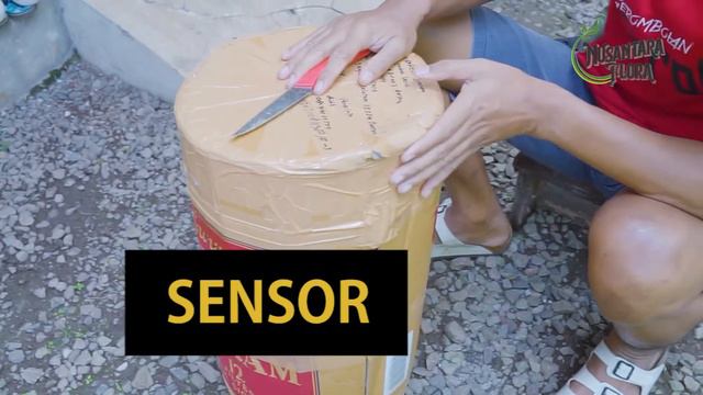 Unboxing Tanaman Hias #tanamanhias #unboxing #budidayatanamanhias