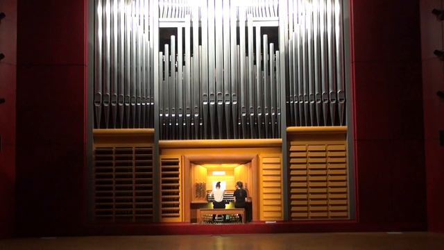 Ioanna Solomonidou - F. Liszt Piano Sonata in b-minor S.178 смотреть онлайн