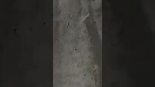 Этапы нанесения проникающей гидроизоляции