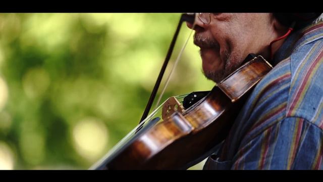 Carmen Piculeata- ALWAYS WINNER