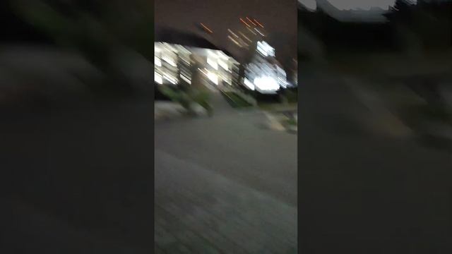 18 НОЯБРЯ 2023 ГОДА. ВОРОНЕЖСКИЙ КСЕНИЕВСКИЙ ХРАМ