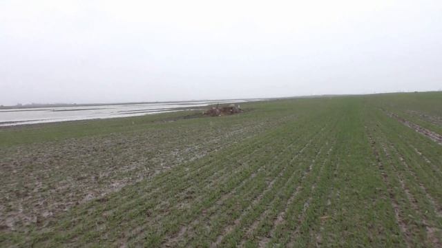 Охота на гуся 2020. Подготовка. смотреть онлайн