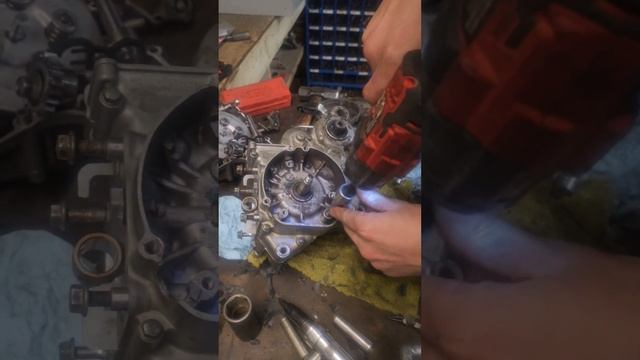 Rm125 Bottom End Assembled In 2 Hours 30 Minutes #banshee #music #dirtbike #bansheebikes #motocross смотреть онлайн