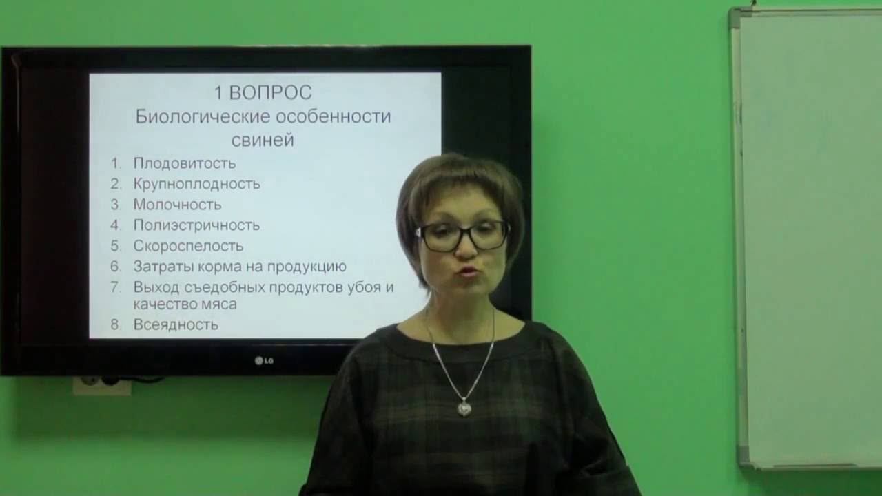 Козина Е.А. Кормление свиней смотреть онлайн