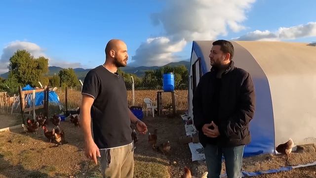 150 TAVUK AYDA KAÇ PARA KAZANDIRIR ? ~ 25.000 ₺ye Kendi İşinin Patronu Ol смотреть онлайн