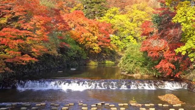 Relaxing Music 24/7, Stress Relief Music, Sleep Music, Meditation Music, Study, Calming Music смотреть онлайн