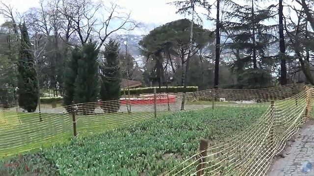 Istanbul Tulip Festival 2021: Emirgan Park