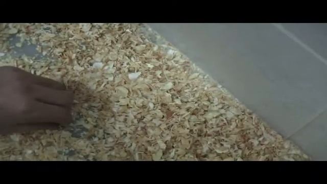 Сортировка сушеных овощей. Сортировка ЛУКА сушеного на фотосепараторе PIXEL. CSort color sorter смотреть онлайн