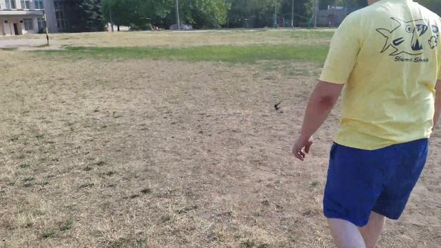 Первый полет стрижа смотреть онлайн