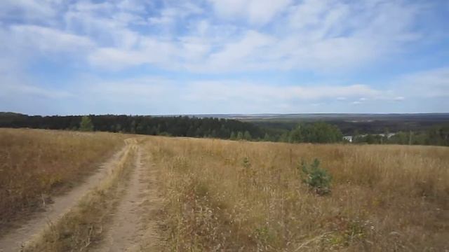 Деревня Перевоз. Вид на мост через р.Вятка смотреть онлайн