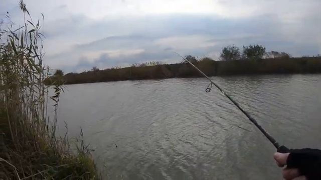 НАКОНЕЦ-ТО ПОЙМАЛ!!! ЩУКА на RELAX Viper!!! #relax #relaxlures #relaxviper #fishing #crazyfish