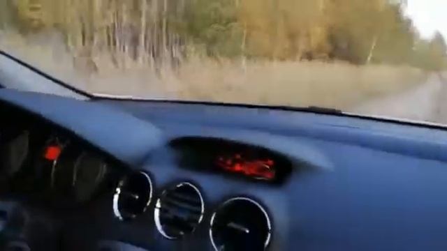 Едем из леса, грибов нет... смотреть онлайн