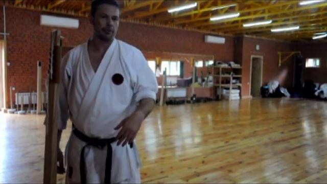 Работа с Макиварой, от Виктора Панасюка 6 дан IOGKF смотреть онлайн