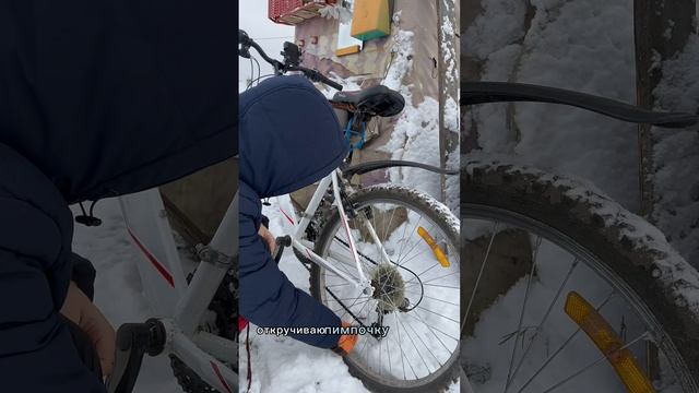 Очень люблю чайный гриб ! смотреть онлайн