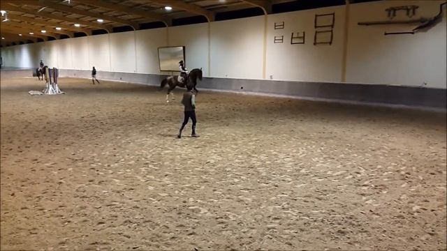 Тренировка с Гонсало Карвальо и жер Лолли Поп, 6 лет, 2015/12/01, ЧАСТЬ 2 (облегченная рысь) смотреть онлайн