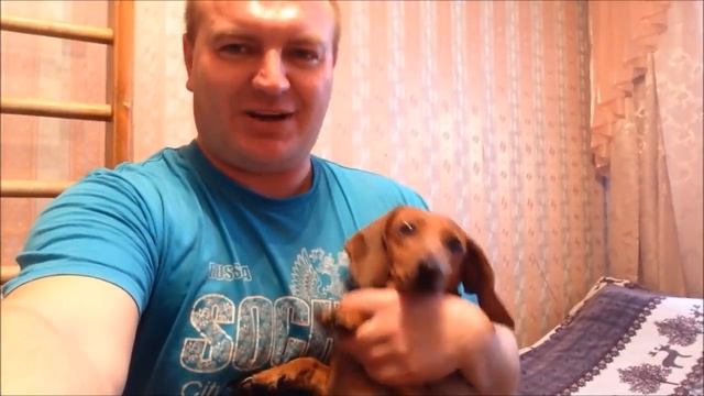 39 ЛЕТ. ДЕНЬ РОЖДЕНИЯ смотреть онлайн