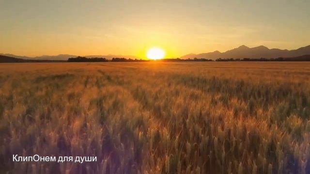МУЗЫКА для Сна! Эту музыку можно слушать вечно! Самая Красивая Музыка! Расслабишься! смотреть онлайн