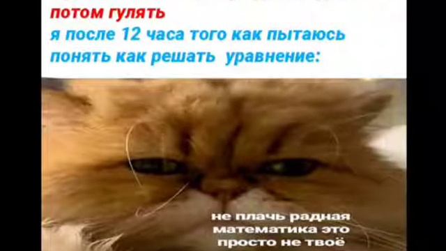 Лучшие приколы! Когда не хватает времени.#мемы#mem смотреть онлайн