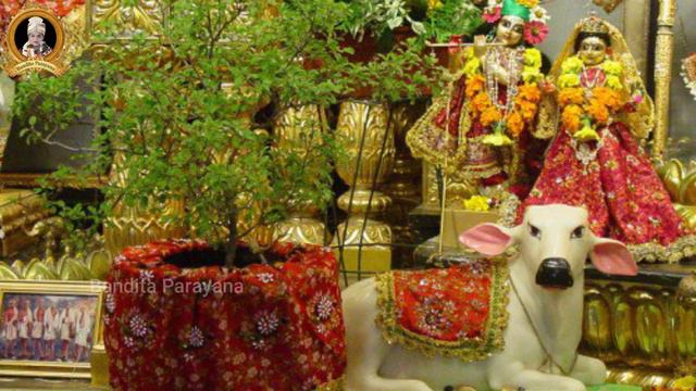 MAA GO TULASI DEVI//SUSHRI BANDITA NAYAK//TULASI BHAJAN смотреть онлайн