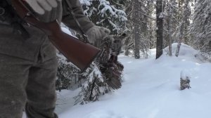 НОЧЁВКА В ОГРОМНОЙ ИЗБУШКЕ У РЕКИ / ОХОТА НА БОРОВУЮ ДИЧЬ С МЕЛКАШКОЙ / НАШЁЛ МНОГО РЯБЧИКА В ТАЙГЕ