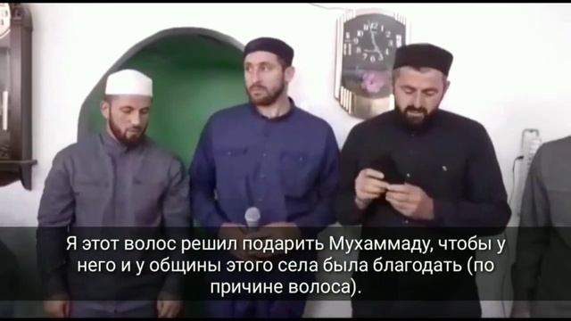 Волос мушрика Саида афанди | Подарок суфиста смотреть онлайн