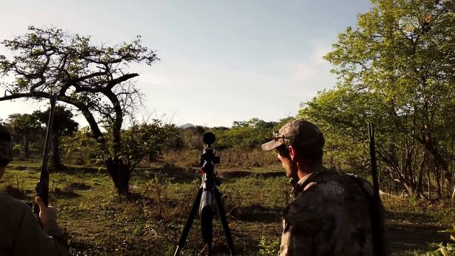 Hunting for the king of the jungle смотреть онлайн