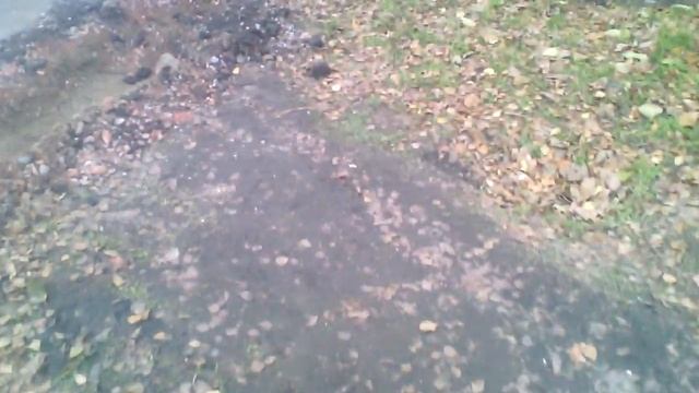 Бордюры на ул. К. Маркса смотреть онлайн