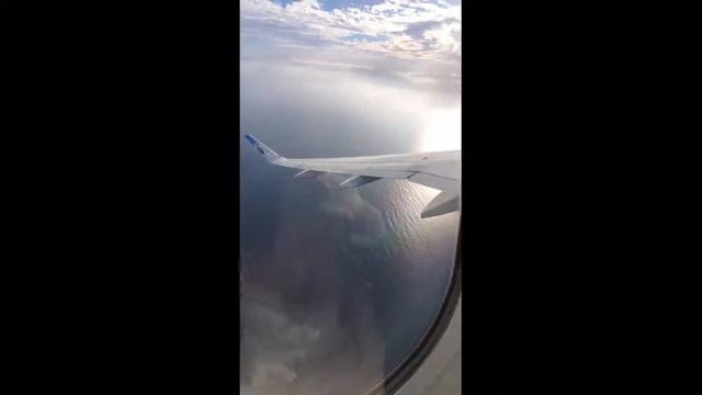 San Diego from above. Сан Диего и Тихий Океан из иллюминатора. смотреть онлайн