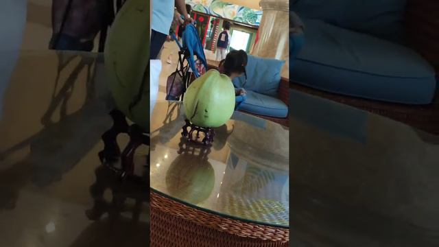 Приехала из Китая кароновирус или простуда?