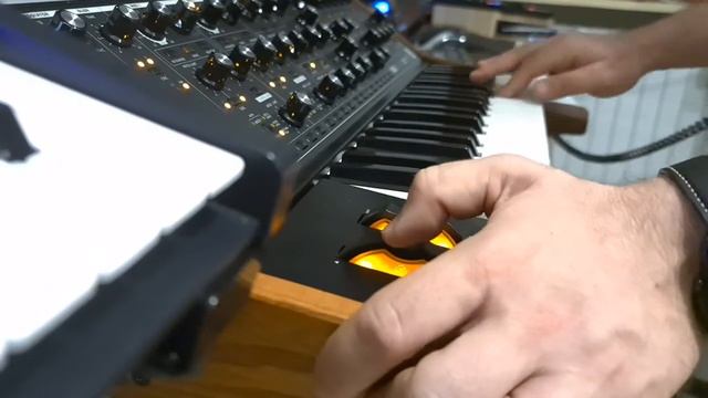 Synth improv with Moog Sub37 , Moog Minitaur, Arturia Minibrute. Analog Jam August 2021 смотреть онлайн