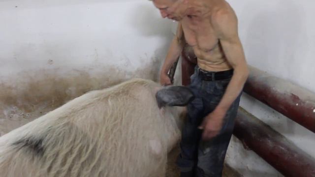 СБОРКА подсобное смотреть онлайн