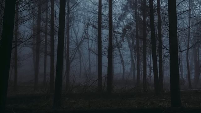 ЗАХРЕПИХА. Часть 1. Страшные истории. Страшные рассказы. Деревенские ужасы смотреть онлайн