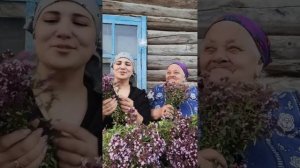 Мой клип на песню Алия Карачурина "Авыл киче"