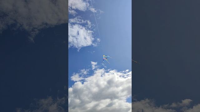 #Воздушный_змей #Лето_2023 #Санкт_Петербург смотреть онлайн