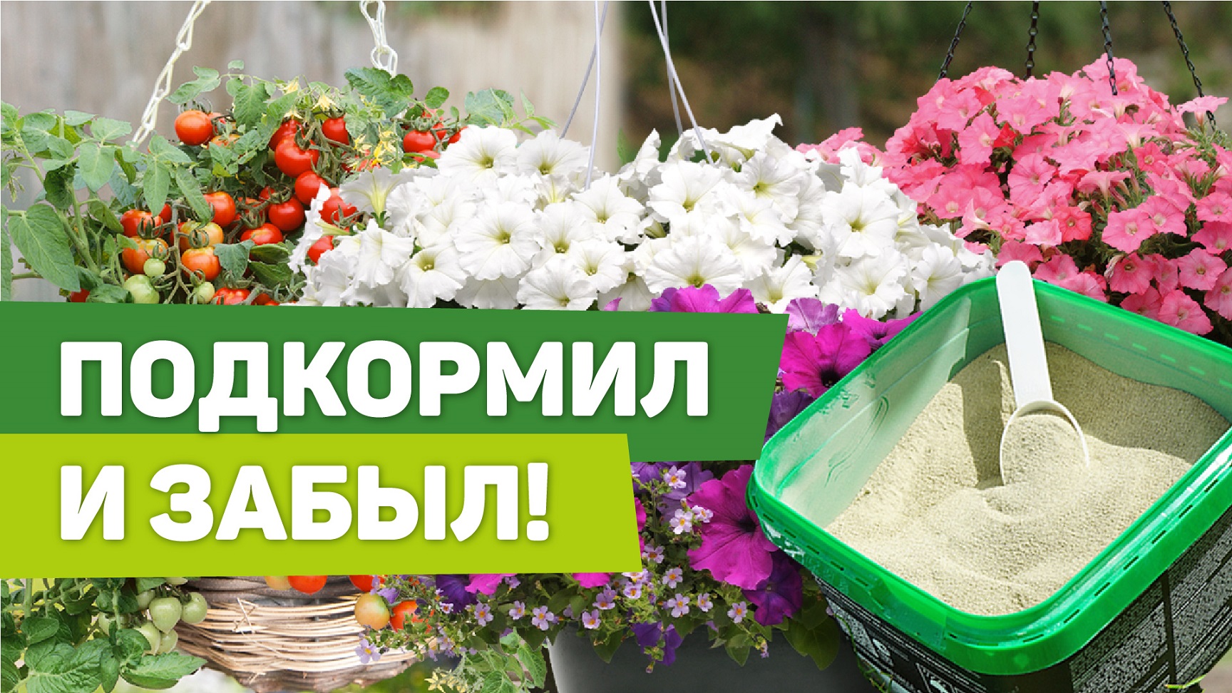 Что добавить в почву для горшков и кашпо. Нашла отличный вариант.mp4 смотреть онлайн