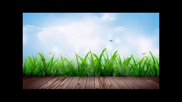 LMC message 211114 смотреть онлайн