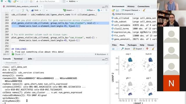 BBI Single Cell Data Analysis Tutorial 09 09 2020 смотреть онлайн