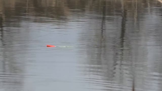 Ловля КАРАСЯ ДУБОВЫЙ ПОПЛАВОК МАСТЫРКА МОРМЫШКА