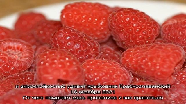 Записи с тегом 'винегрет'